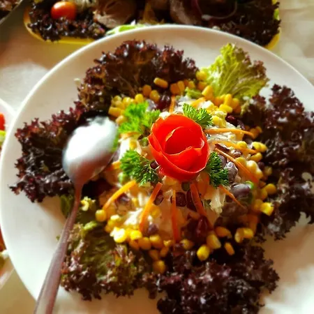 Dincic Doo * Veliko Gradište