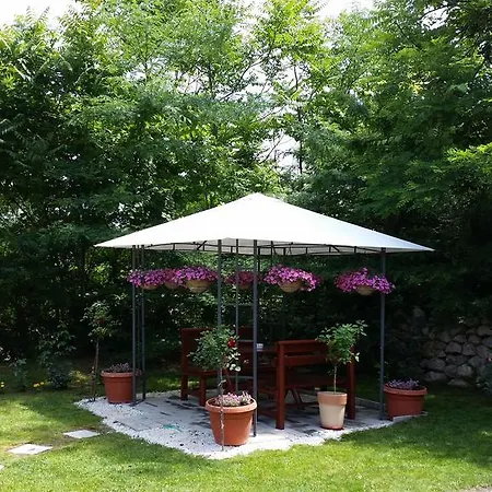 Dincic Doo Guest house